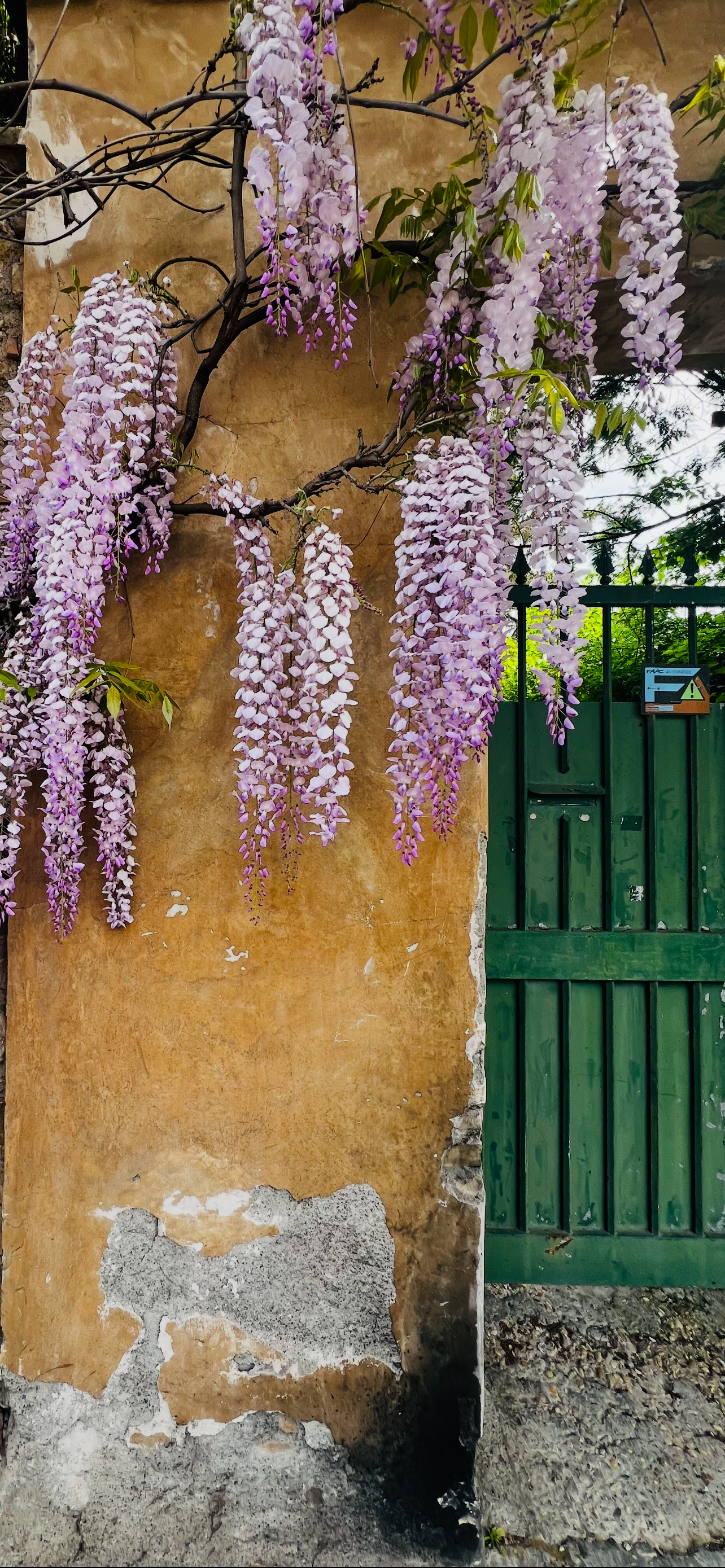 Rome: Beyond the Postcard