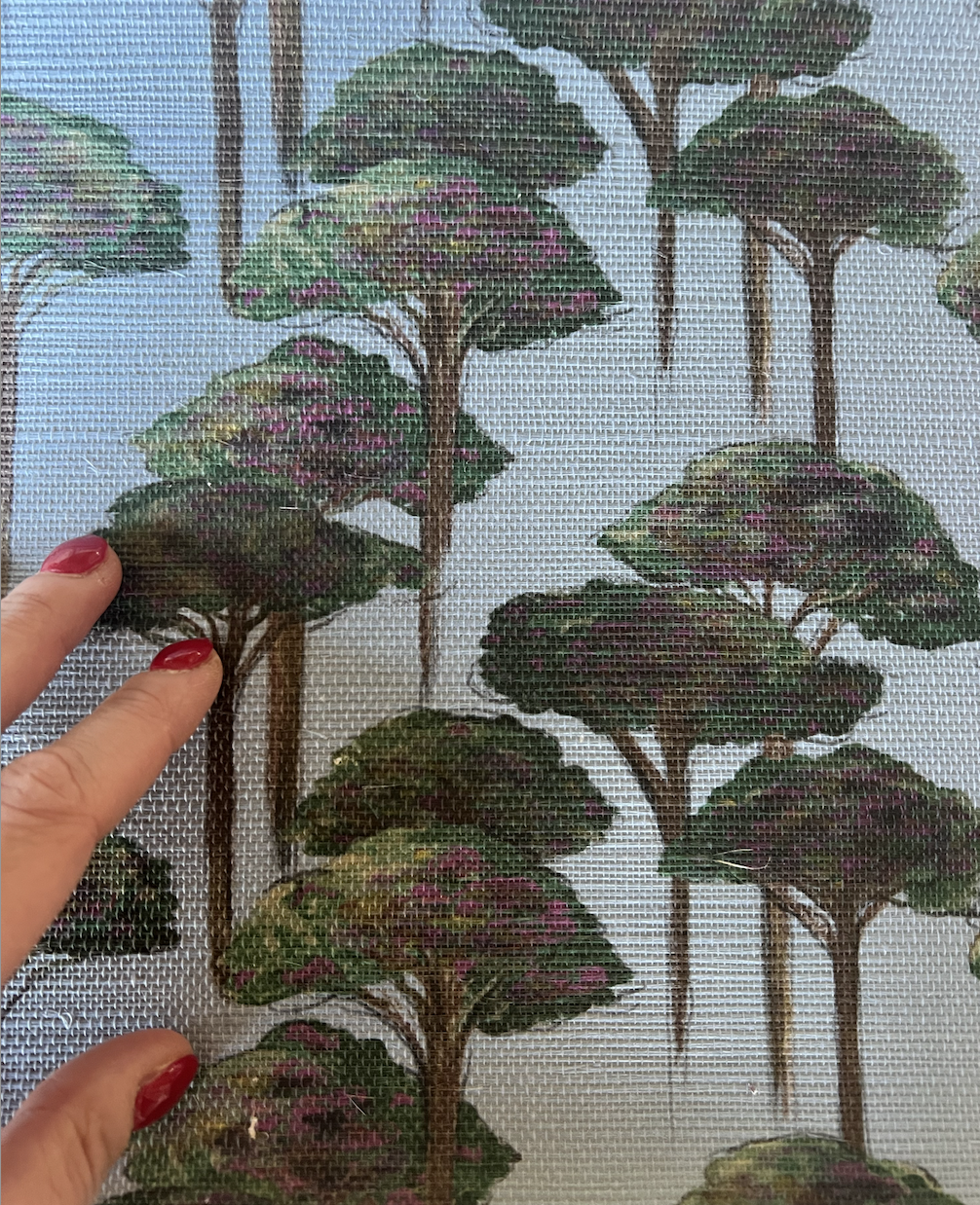 Storied Sustainability