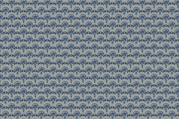 Pollera Fabric, Antonio