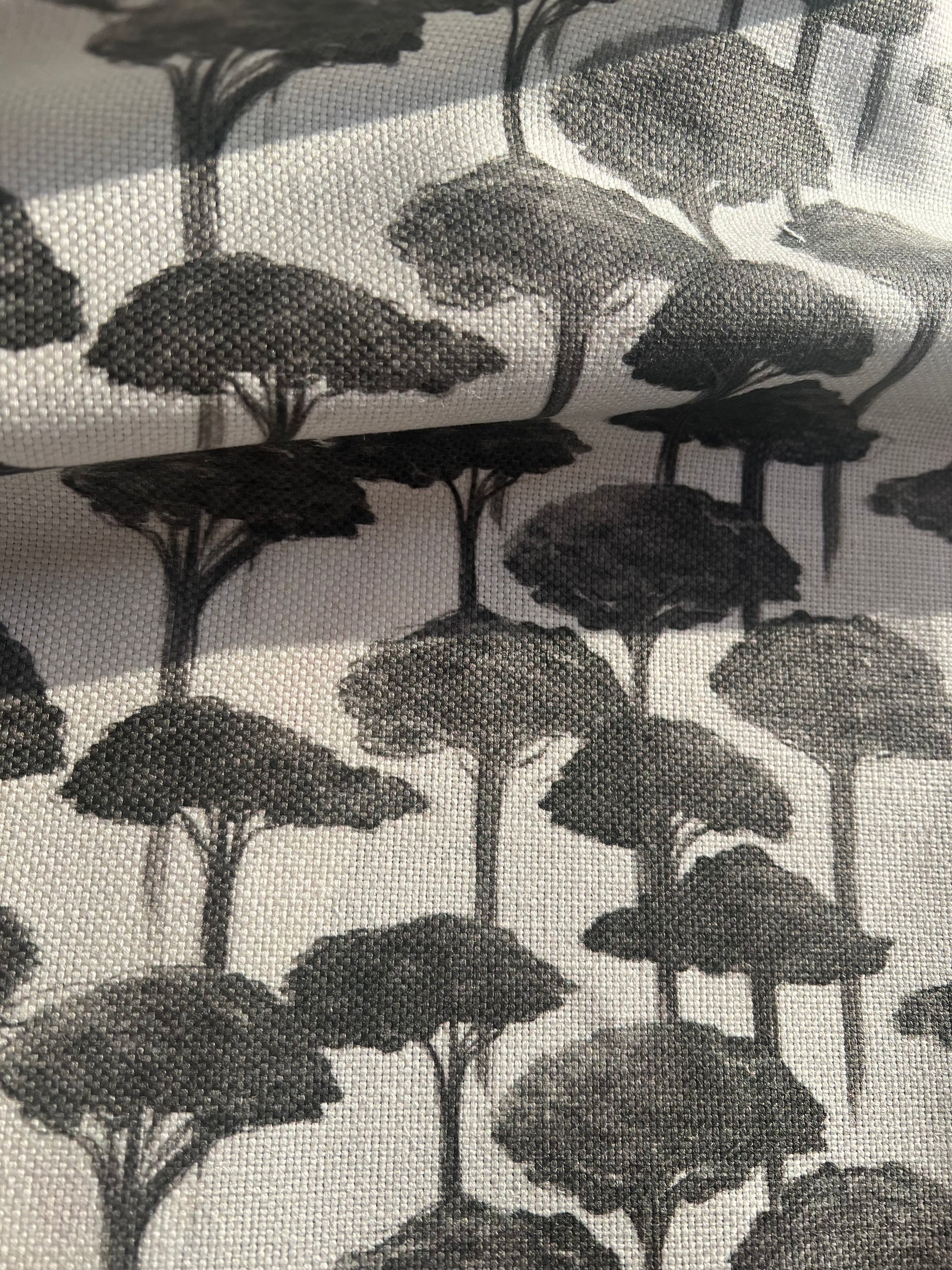 Umbrella Pine Fabric, Wink