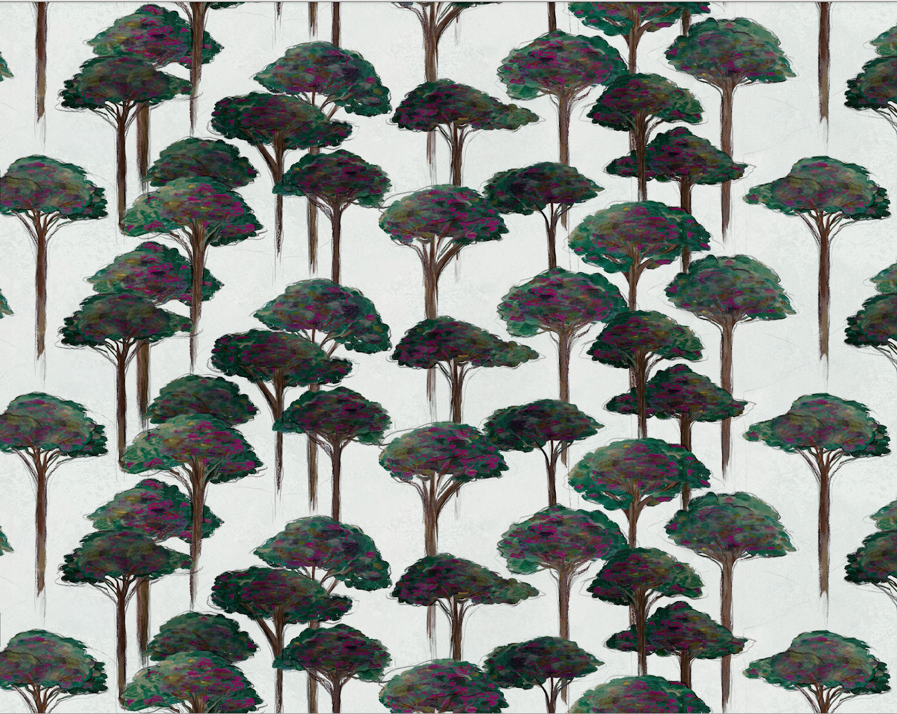 Umbrella Pine Wallpaper, Ferragosto