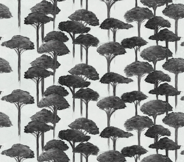 Umbrella Pine Wallpaper, Wink