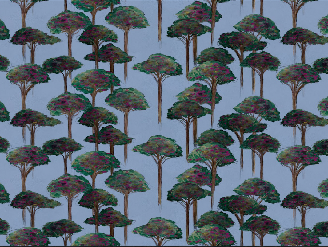 Umbrella Pine Wallpaper, Rumba