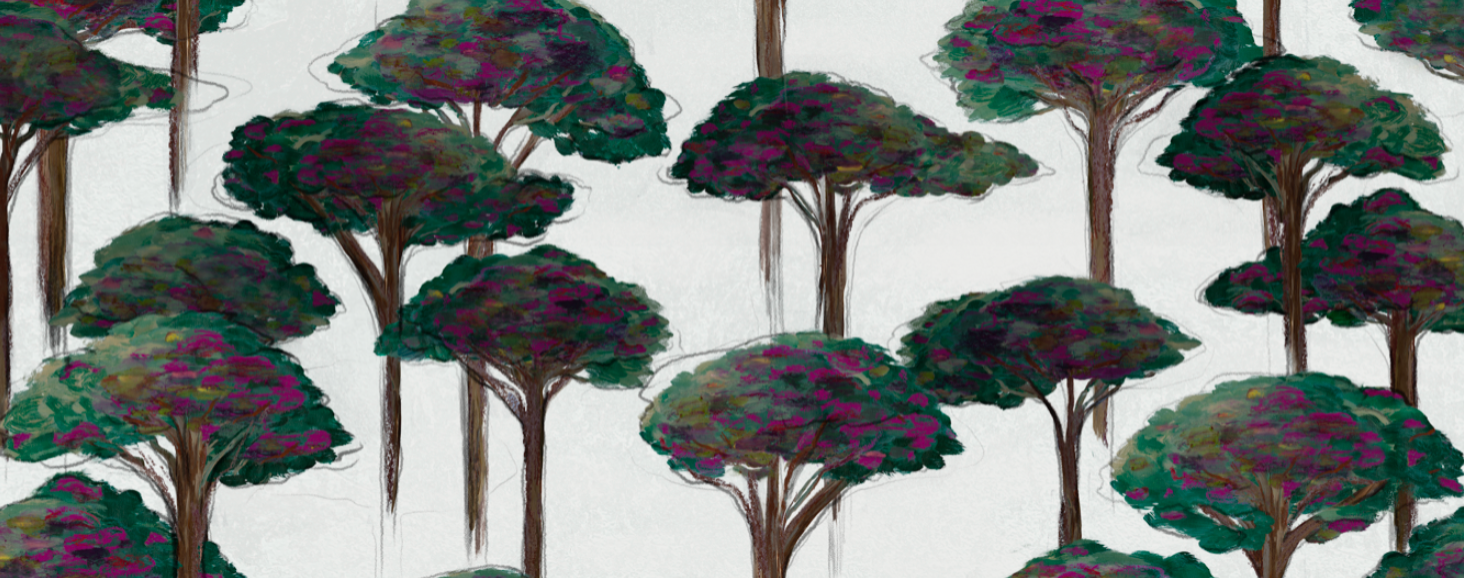 Umbrella Pine Wallpaper, Ferragosto