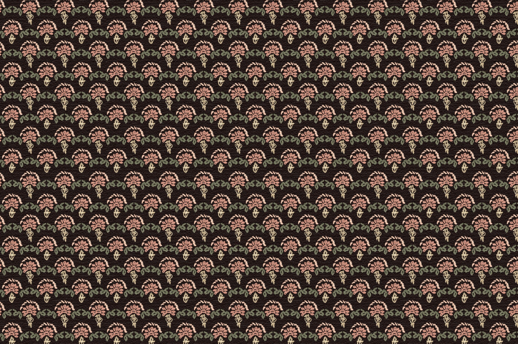 Pollera Fabric, Ida