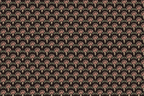 Pollera Fabric, Ida
