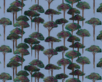 Umbrella Pine Wallpaper, Rumba