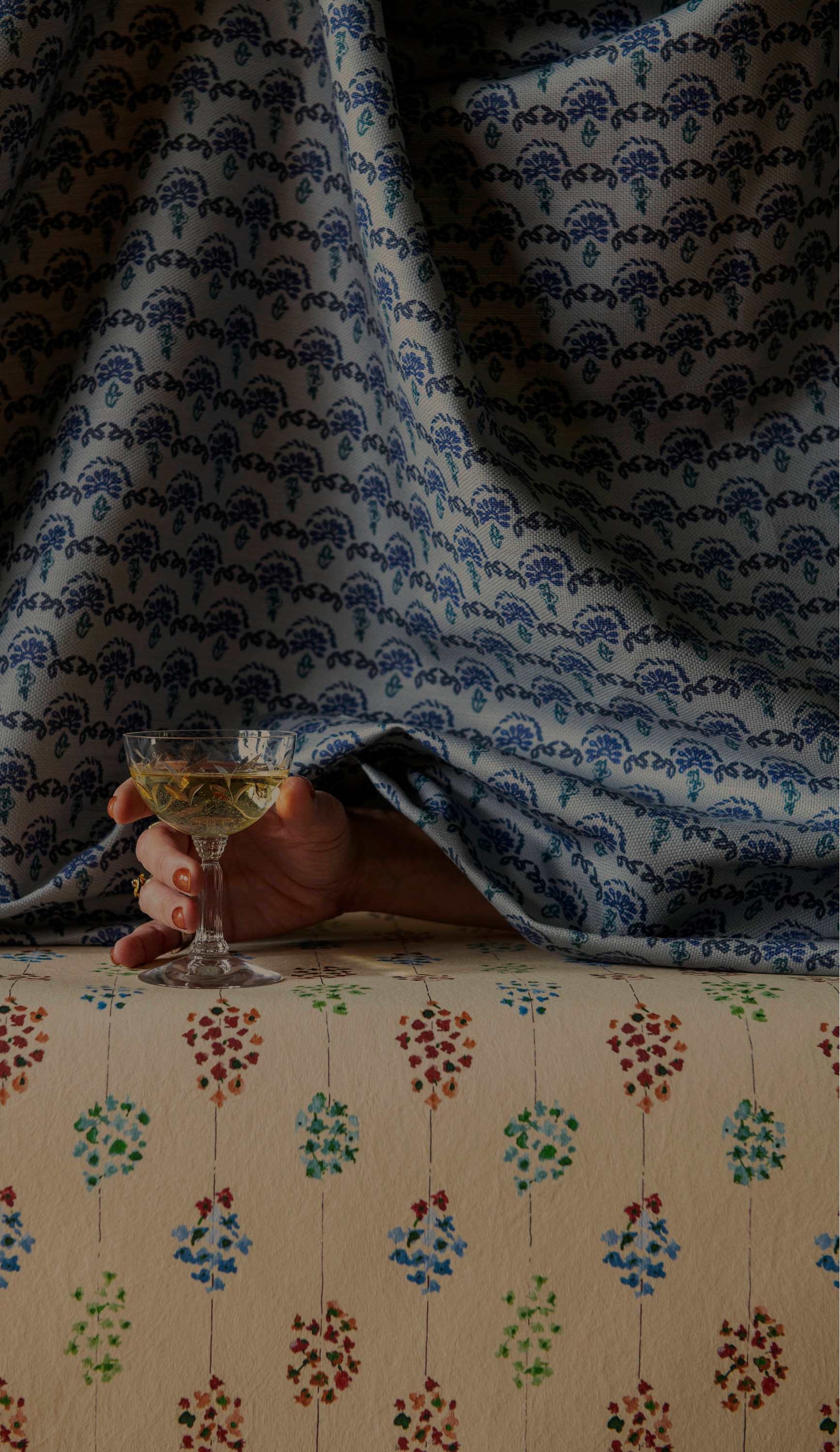 Person holding a glass of white wine behind patterned fabric